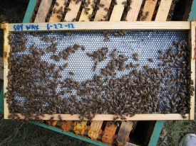 Bee Box Machining Center | Woodman Engineering
